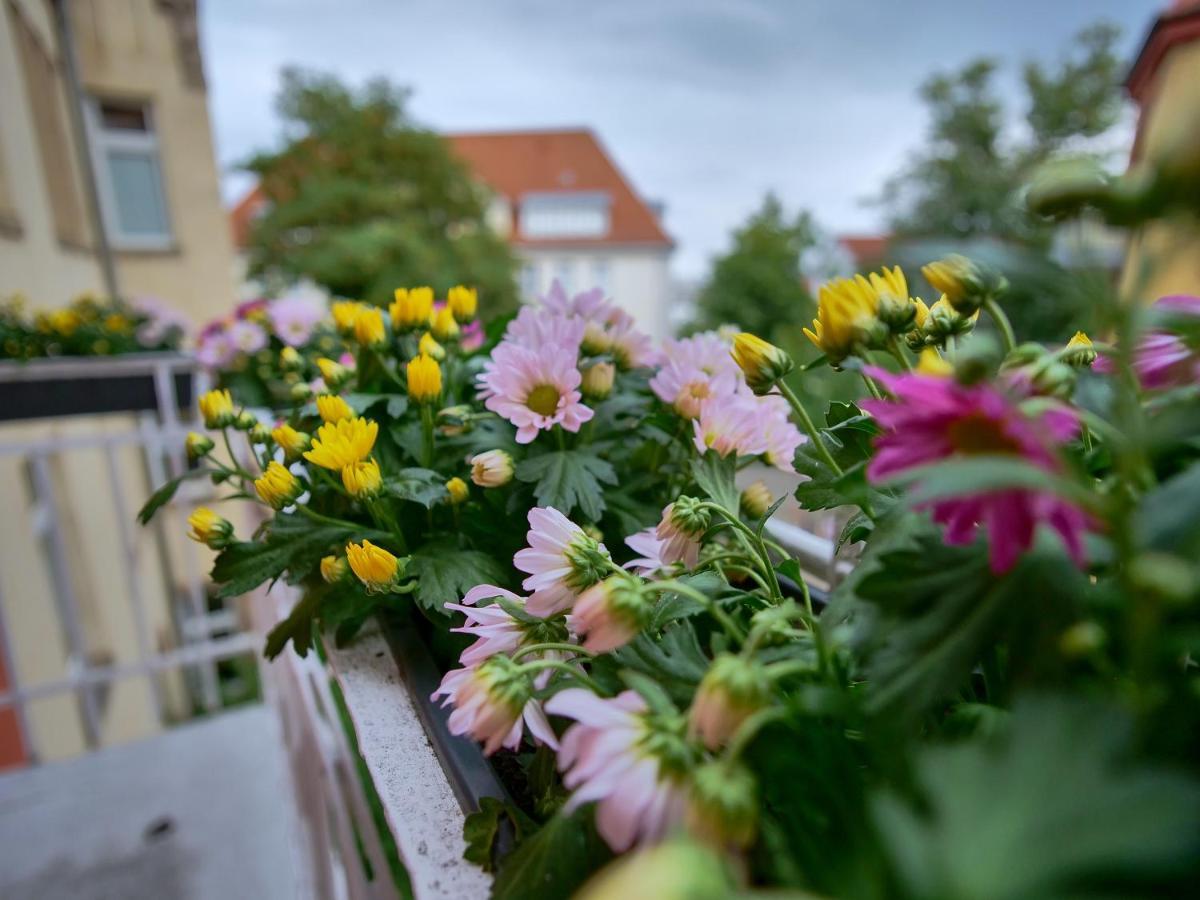 Appartement Otto I - Erfurt Zentrum Ngoại thất bức ảnh